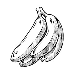 Banana bunch illustration in a hand-drawn style