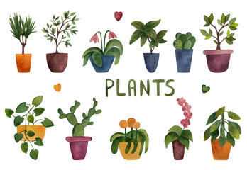 Potted plants, Collection, watercolor illustration