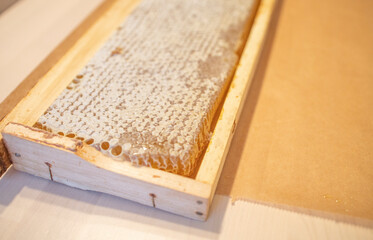 honeycomb on a light table surface. Natural sweets, the benefits of honey, the treatment of angina and orvi