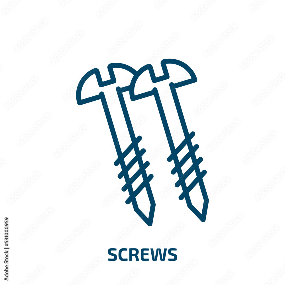 Wall mural screws icon from construction tools collection. Thin linear screws, screw, repair outline icon isolated on white background. Line vector screws sign, symbol for web and mobile