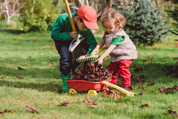 Kids raking autumn leaves into wheelbarrow cleaning garden before winter