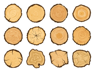 Tree trunk cross section. Round pine logs, forest wood circle and tree rings vector illustration set - obrazy, fototapety, plakaty