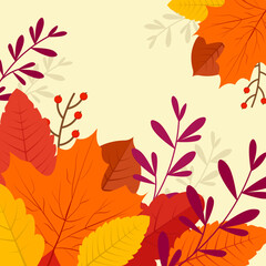 picture of beautiful autumn leaves