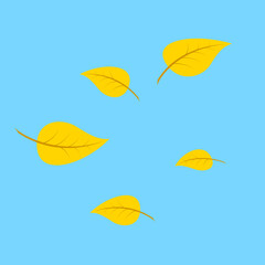 yellow leaves on blue background