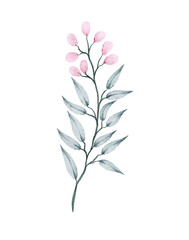 Watercolor floral illustration 