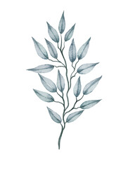 Watercolor floral illustration 