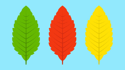 colorful autumn leaves on a blue background