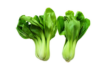 Young organic Chinese cabbage or white Bok choy isolated on a white background with clipping path