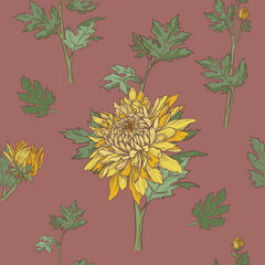 Floral seamless pattern of hand drawn chrysanthemums. Vector pattern of yellow flowers on a red-brown background.