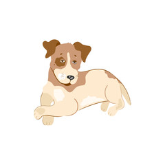 Vector illustration of a lying dog. A domestic dog of the Jack Russell terrier breed. Isolated on white background.