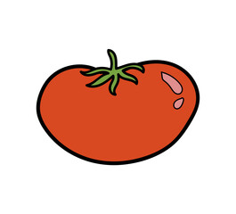 Tomato doodle vector illustration decor element isolated on white background. Cute cartoon style outline red tomato. Organic vegetable6 healthy bio food, vegetarian friendly sweet veggie icon.