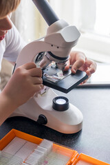 Close-up of schoolchild hands installing glass with laboratory materials in microscope for research, science lab kids concept