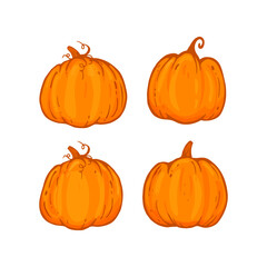 set of pumpkins isolated on white background, autumn pumking cartoon style