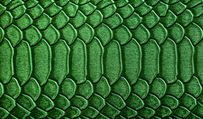Beautiful green bright snake or crocodile skin, reptile skin texture, multicolored close-up as a background.