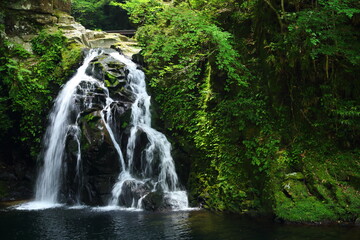 Obraz na płótnie Canvas Water, Waterfall, Forest