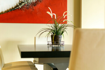 a isolated close up of a plant on a dining table in a luxury apartment 