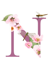 beautiful alphabet N with hand drawn of cherry blossom