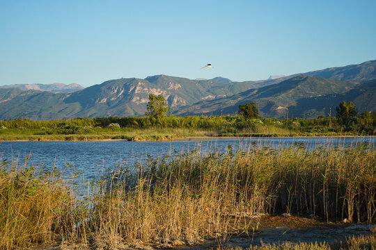 Ornithological bay with mountains in the background in Aliki beach Aigio, Greece