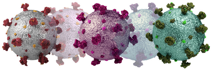 Photorealistic model of corona virus covid-19 mutations - obrazy, fototapety, plakaty