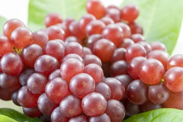 新鮮で美味しい葡萄