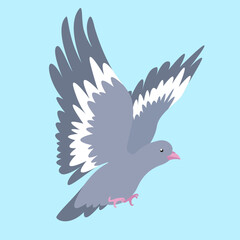 dove in flight on a blue background