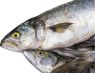 Close up and top view of anchovy fish.