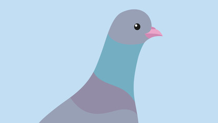 head and neck of a dove