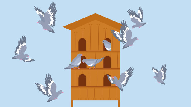 pigeons fly near the dovecote