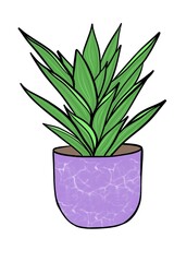 Cute cacti in a pot. Beautiful cute cacti in a minimalist style. Bright illustrations with cacti. Cute green cactus.