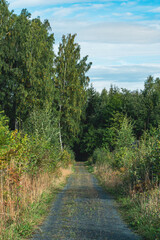 Fototapeta na wymiar Ovrenvegen Road, a rural gravel road of Toten, Norway, in fall.