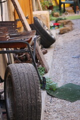 Fototapeta premium barbecue