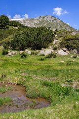 Fototapeta na wymiar Summer landscape of Pirin Mountain near Muratovo lake, Bulgaria