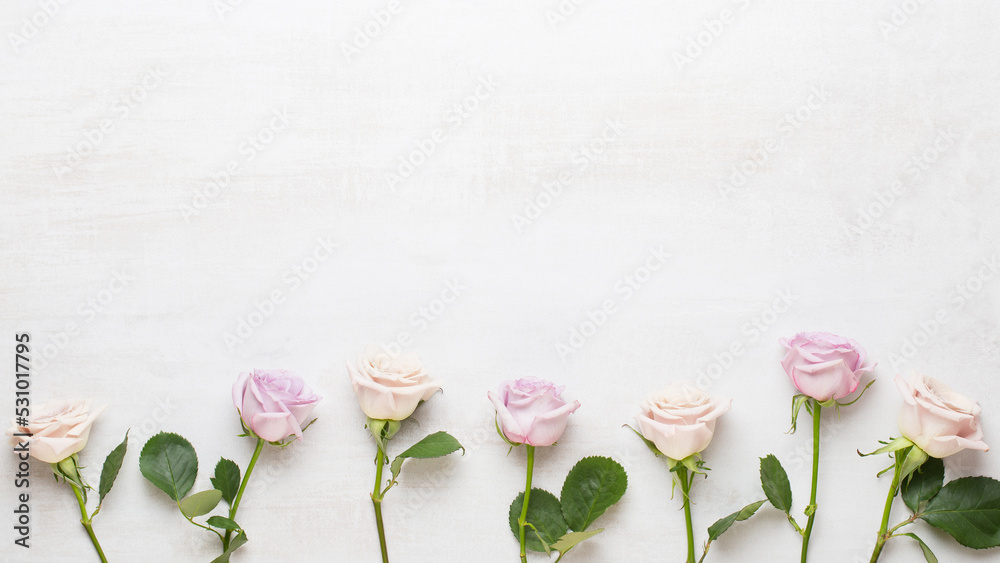 Wall mural flowers composition. frame made of pink rose on gray background. flat lay, top view, copy space.