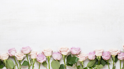 Flowers composition. Frame made of pink rose on gray background. Flat lay, top view, copy space.