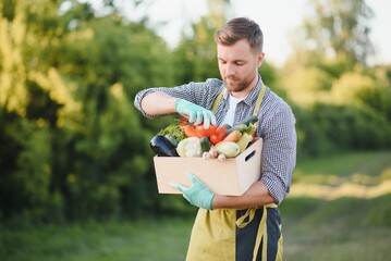 farmer carrying box of picked vegetables