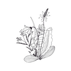 Outline drawing of a forest bouquet. Flowers, berries and leaves. Vector isolated drawing.