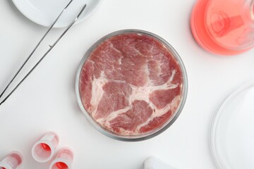 Sample of cultured meat on white lab table, flat lay
