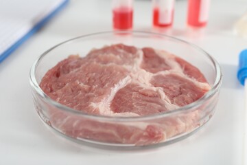 Petri dish with piece of raw cultured meat on white table in laboratory, closeup