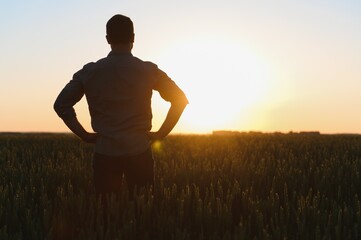 Farmer in wheat field planning harvest activity, female agronomist looking at sunset on the horizon.