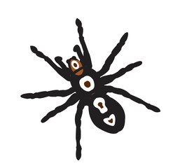 Vector illustration of a spider.