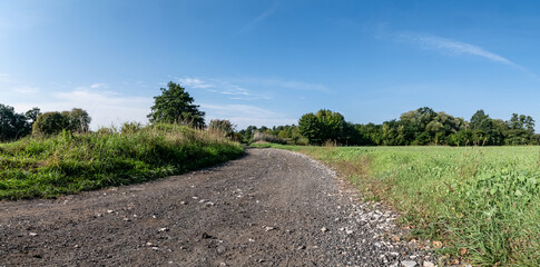 polna droga pośrodku łąk i pól, krajobraz wiejski w rejonie zachodniej polski a w tle zielone drzewa błękitne niebo - obrazy, fototapety, plakaty