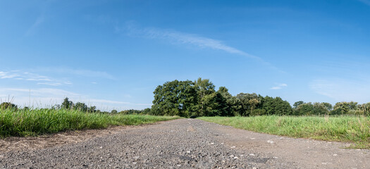 polna droga pośrodku łąk i pól, krajobraz wiejski w rejonie zachodniej polski a w tle zielone drzewa błękitne niebo