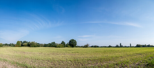 Pojedyncze chmury na niebie w krajobrazie wiejskim pośrodku obszarów wiejskich i pola, pora letnia Opolszczyzna, błękitne barwy