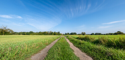 polna droga pośrodku łąk i pól, krajobraz wiejski w rejonie zachodniej polski a w tle zielone...