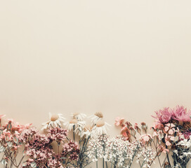 Alternative medicine. Medicinal herbs flowers, on a pastel background. Top view, copy space, banner.