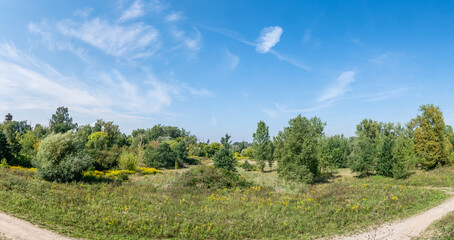 krajobraz szerokiej łąki porośniętej drzewami na tle błękitnego nieba pokrytego nie licznymi chmurami, panorama zielonych terenów w zachodniej Polsce - obrazy, fototapety, plakaty