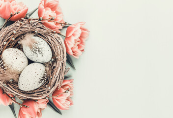 Spring greeting card. Easter eggs in the nest. Spring flowers tulips.