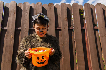 pleased asian boy in werewolf costume looking into halloween bucket with sweets