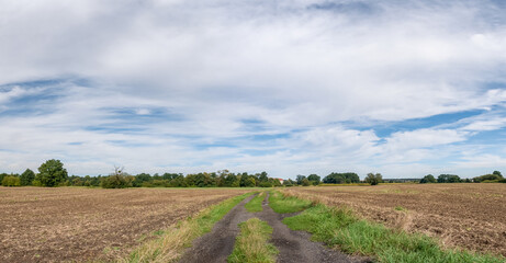 Fototapeta na wymiar polna droga pośrodku łąk i pól, krajobraz wiejski w rejonie zachodniej polski a w tle zielone drzewa błękitne niebo