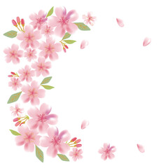 Fototapeta na wymiar Cherry blossom flowers background frame illustration